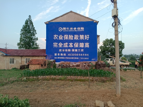 合江墙体广告为何受追捧？